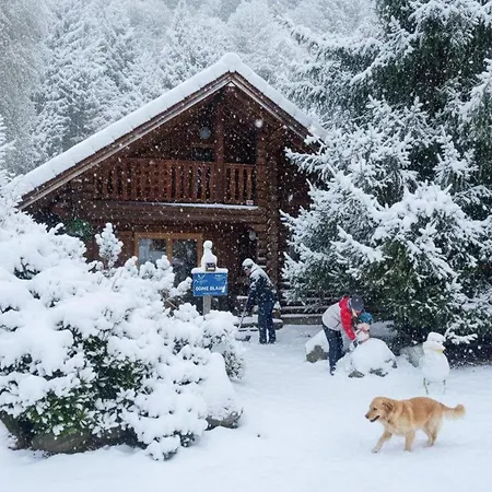 Chalet L'oursblanc En Rondins La Bresse