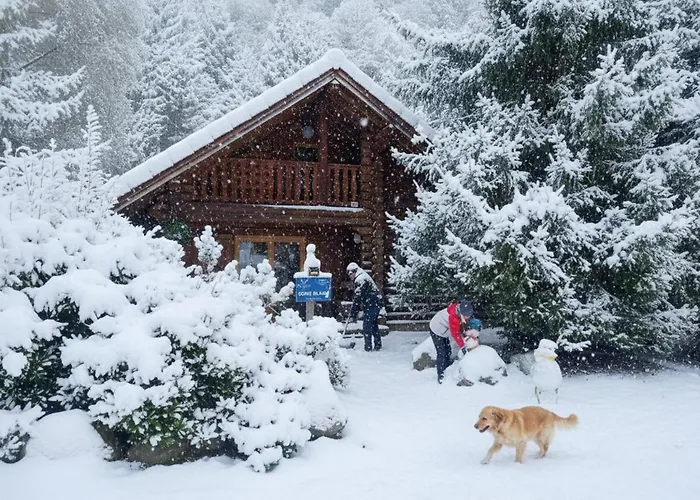 Chalet L'Oursblanc Chalet En Rondins La Bresse